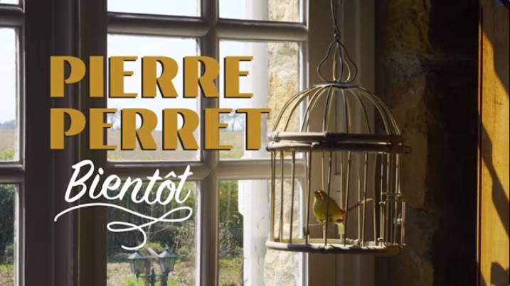 Bientôt, le grand retour de Pierre Perret