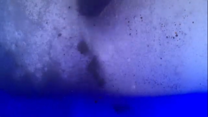 Portrait chimique du cerveau amoureux par Erwan Pinard