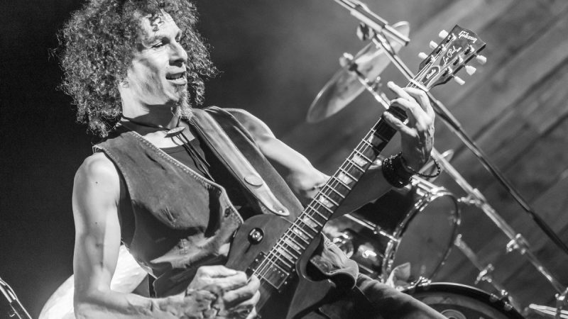 Courte biographie de la longue vie des Toon&rsquo;s