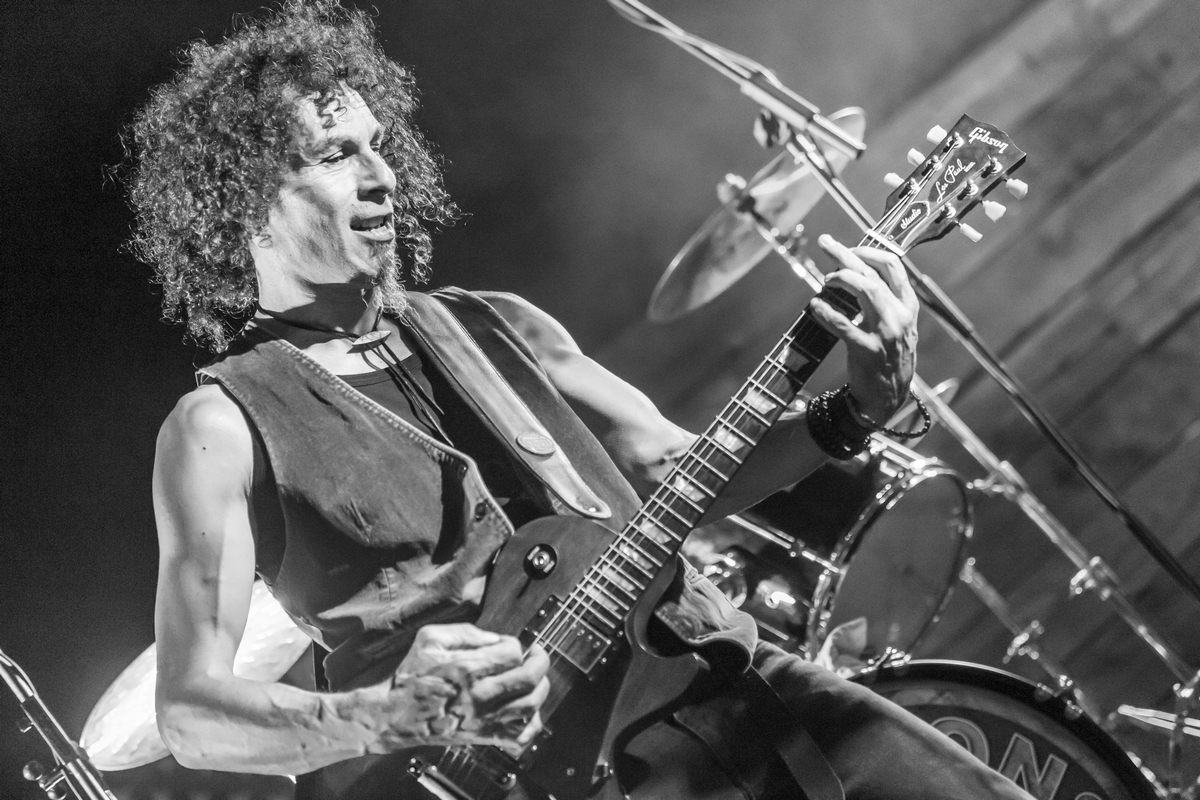 Courte biographie de la longue vie des Toon&rsquo;s