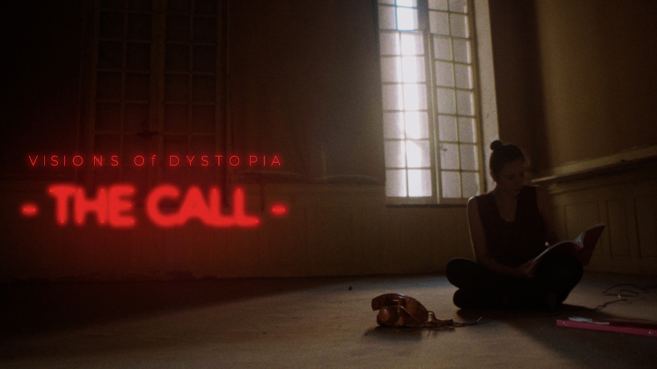 Visions Of Dystopia nous présente The Call et Suffering Games