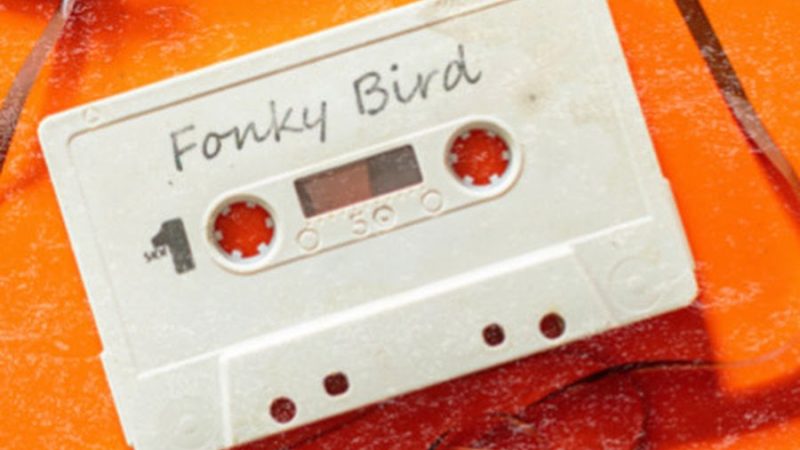 De la fraicheur avec Fonky Bird !