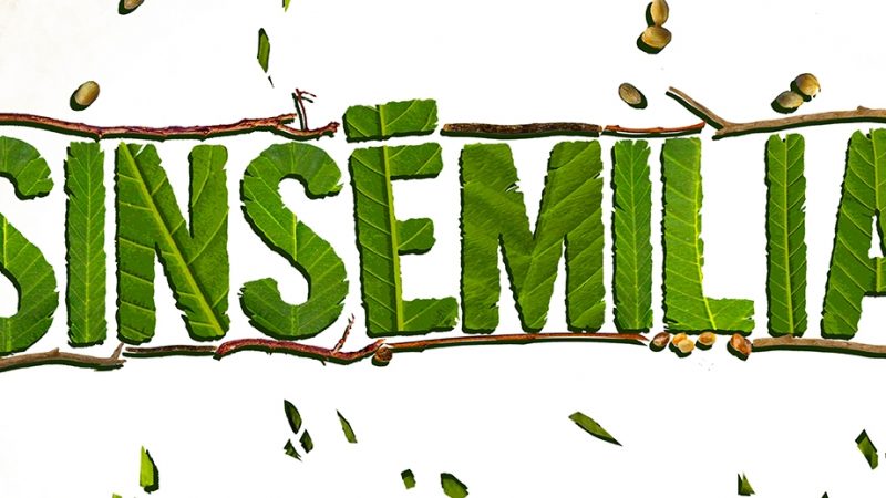 Prenons le temps avec Sinsé et Tryo