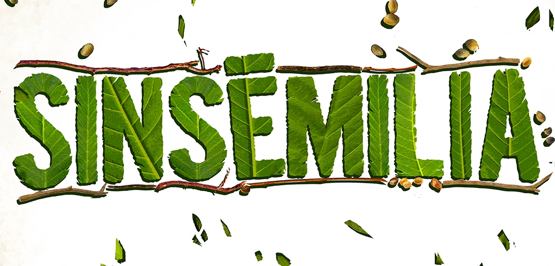 Prenons le temps avec Sinsé et Tryo