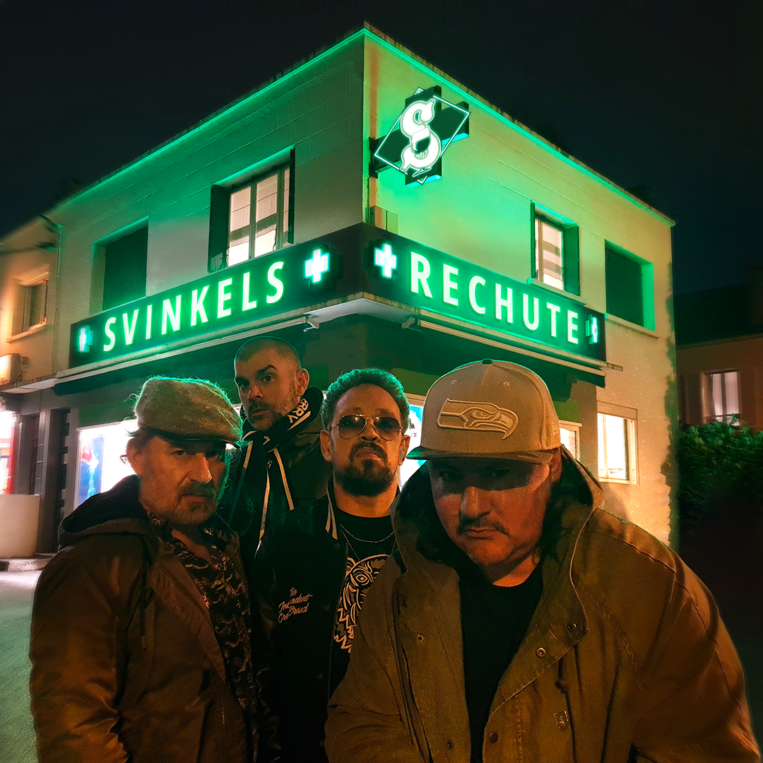 La Rechute du Svink ! (Nouvel album)