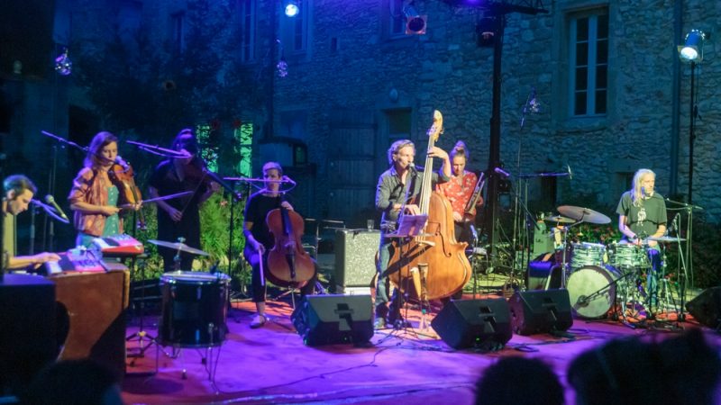 Des Fourmis dans les Mains mais aussi dans la Drôme !