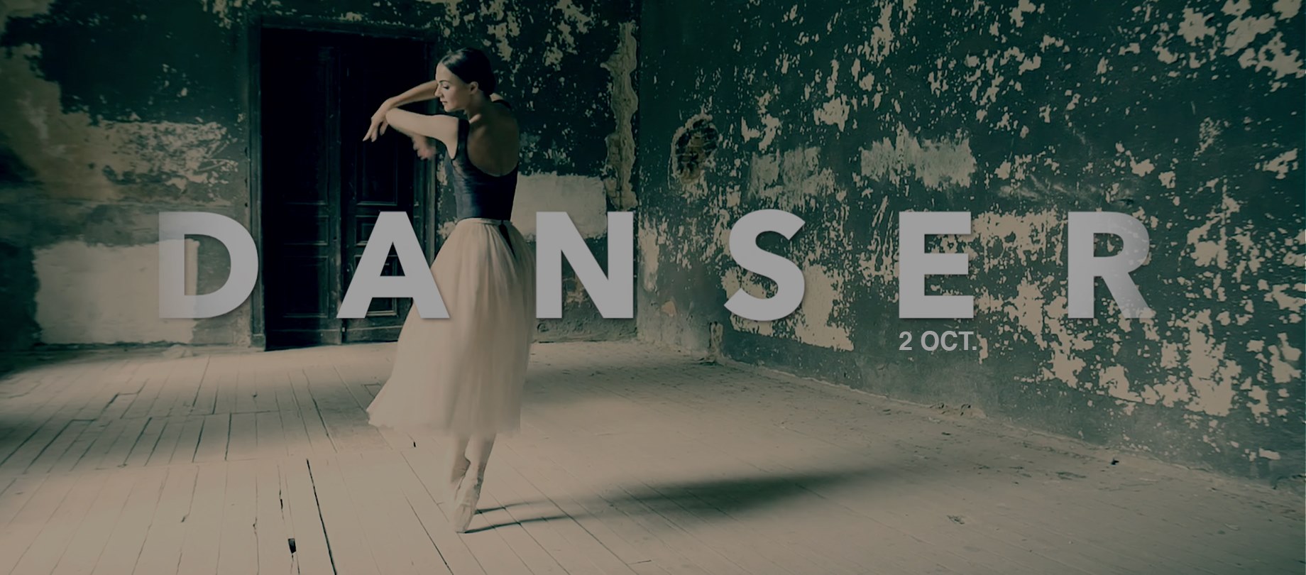 La découverte du jour : Ambre !