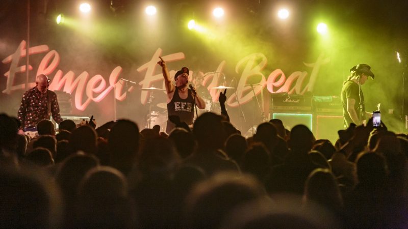 Elmer Food Beat Revival !