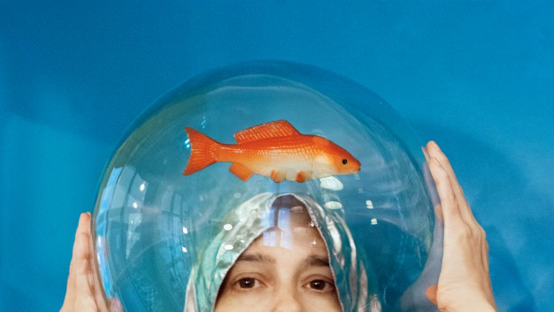 Vanessa Philippe – Soudain les oiseaux