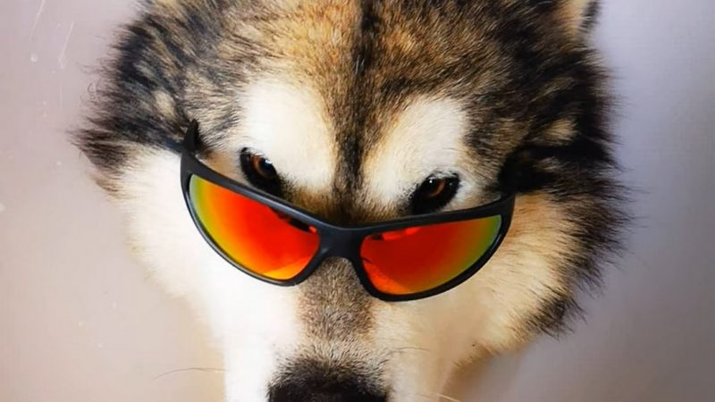 Stan and the Satellites – U can try to hide