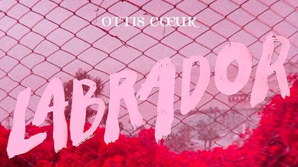 Ottis Cœur : Labrador [CLIP]