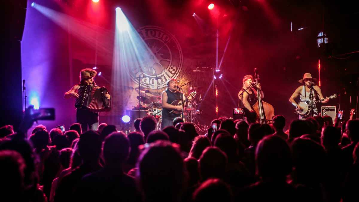 Concert : Steve &lsquo;N&rsquo; Seagulls à la Cordo
