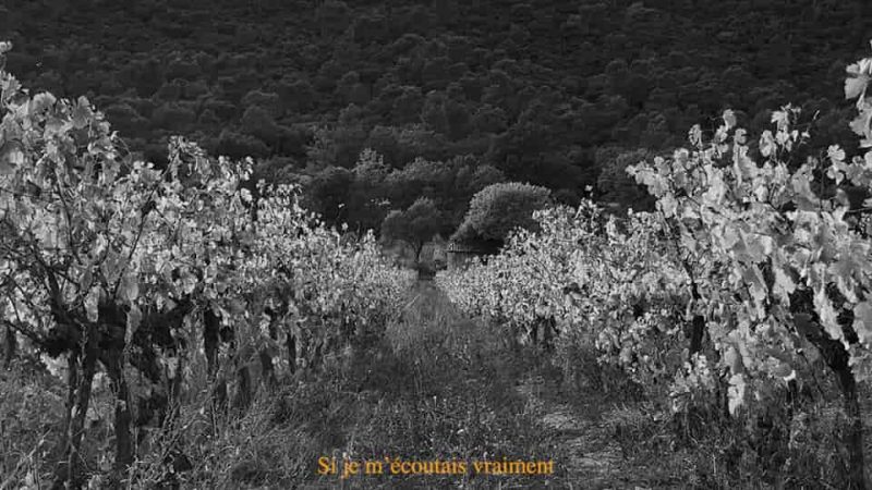 Tim Dup : Si je m&rsquo;écoutais vraiment [CLIP]