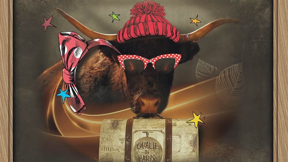 WAZOO : Ovalie [CLIP]