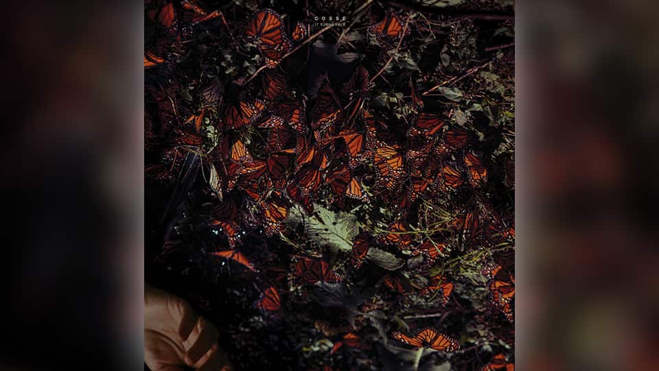 Cosse : It Turns Pale [ALBUM]