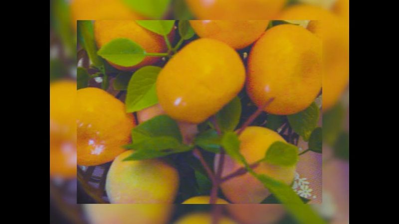 En Attendant Ana : Same Old Story [CLIP]