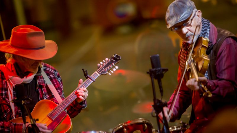 Concert&nbsp;: Le Chanteur imaginaire au Maquisart