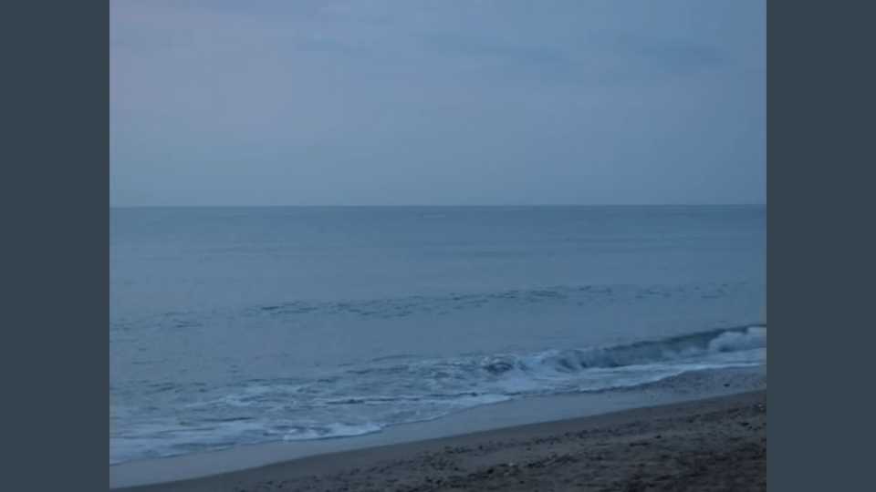 Clip : Damlif – Carmageddon