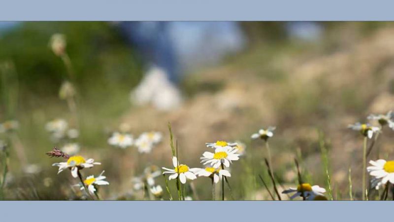 Clip : Les Ardéchois – Le Pays que j&rsquo;aime