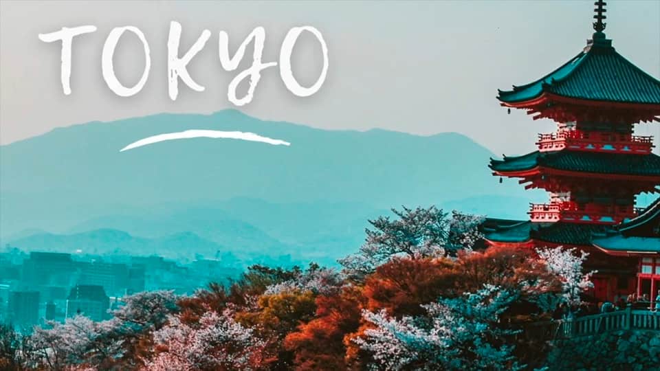 Lizzy Ling : Tokyo Remix [CLIP]