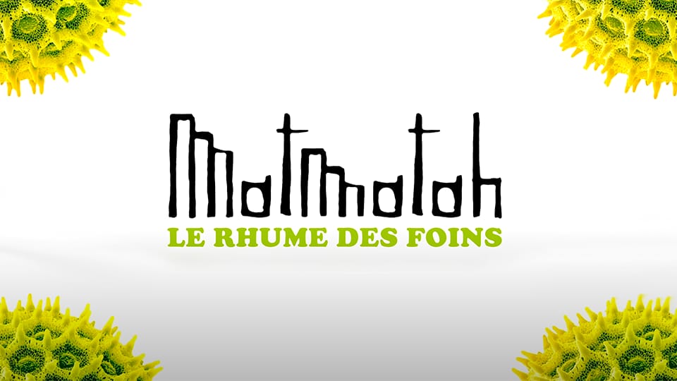 Matmatah : Le Rhume des foins [CLIP]