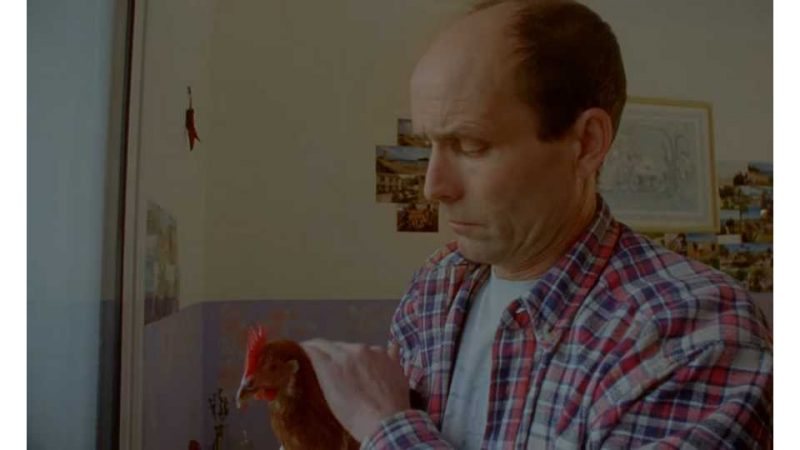 Clip : SIZ – What does the Moon think