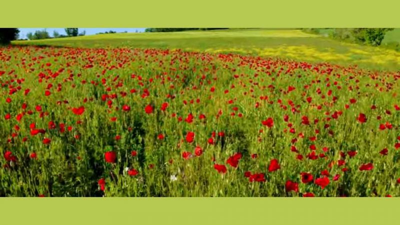 Clip : Lune et L&rsquo;Autre – Sais-tu qui je suis ?