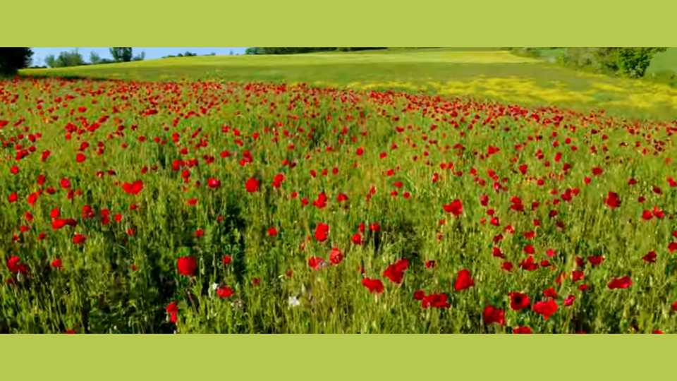 Clip : Lune et L&rsquo;Autre – Sais-tu qui je suis ?