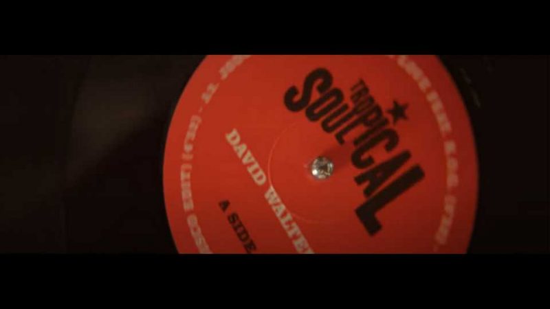 Clip : David Walters – Soul Tropical