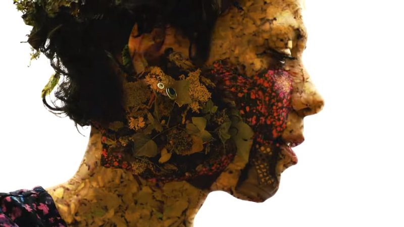 Hyperrêve en duo avec Verity Susman : La Forêt [CLIP]