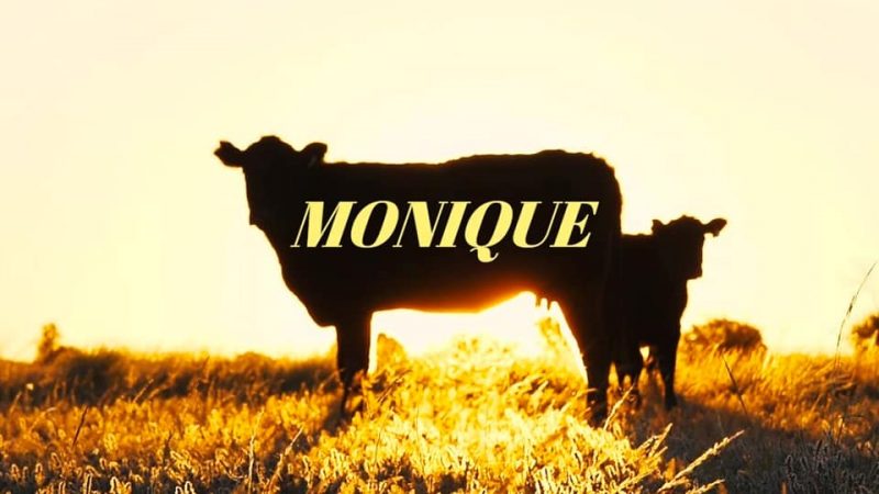 Gros Cœur : Monique