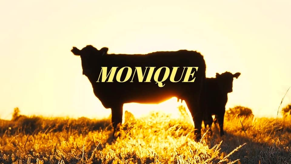 Gros Cœur : Monique