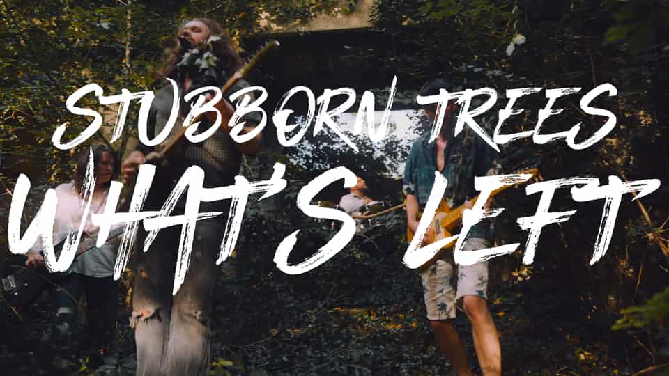 Stubborn Trees : What&rsquo;s Left [CLIP]