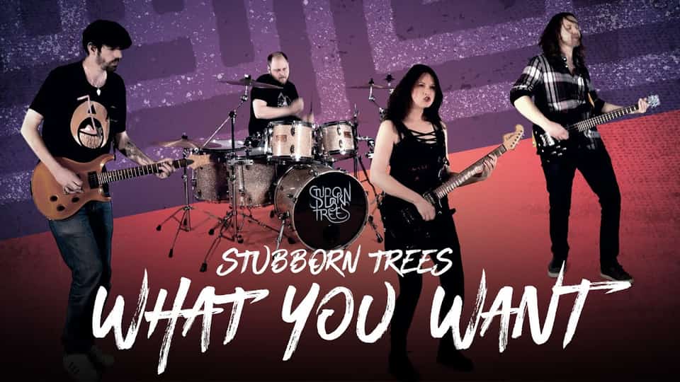 Stubborn Trees : What You Want [CLIP]