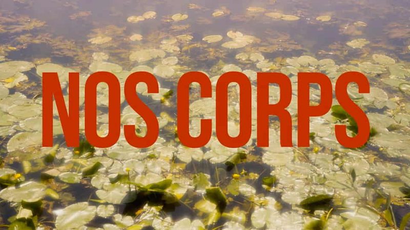 Falling For Frankie : Nos Corps [CLIP]