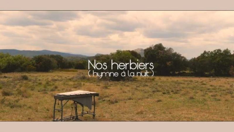 Clip : Samuel Covel – Nos herbiers