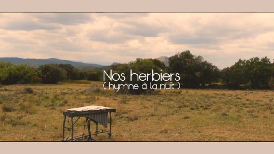 Clip : Samuel Covel – Nos herbiers
