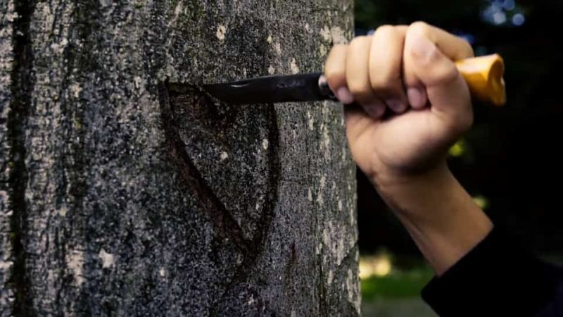 Arcane : L’Anomalie