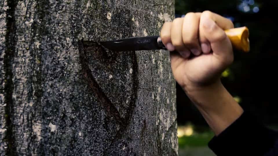 Arcane : L’Anomalie