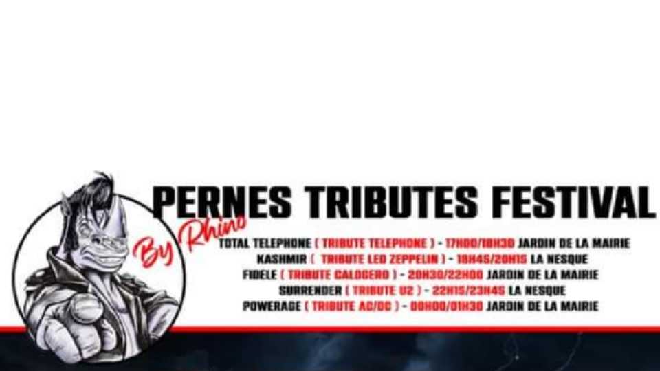 Quand Rhinoférock rend hommage aux artistes : Pernes Tributes Festival 2024