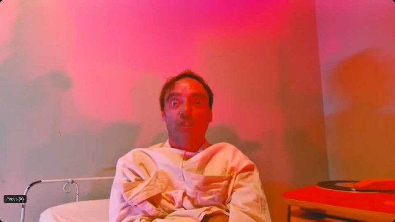 Clip : Barnabé Mons – Chat sauvage