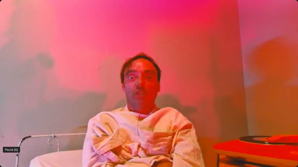 Clip : Barnabé Mons – Chat sauvage