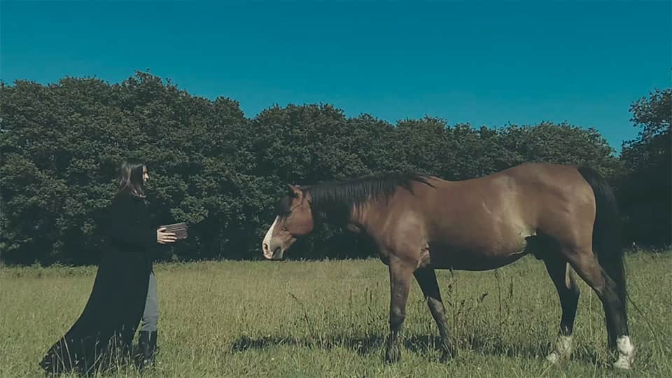 Jéhan : Les chevaux de Montebello