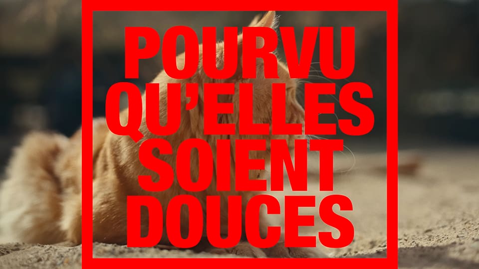 Julien Doré : Pourvu qu’elles soient douces [CLIP]