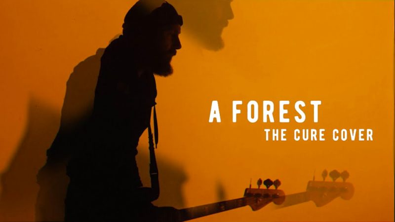 The Amsterdam Red Light District (TARLD) reprend A Forest des Cure [CLIP]