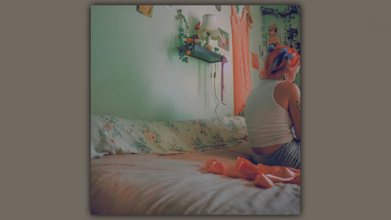 We Hate You Please Die : Chamber Songs [ALBUM]