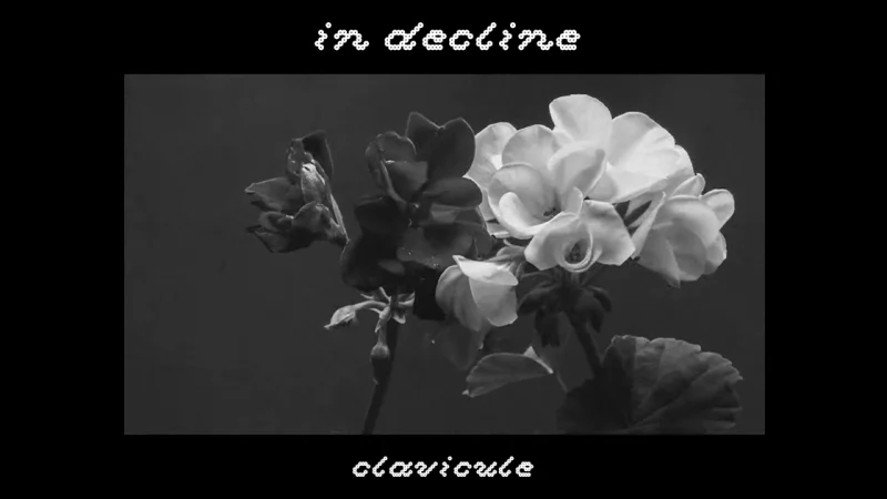 Clavicule : In Decline [CLIP]