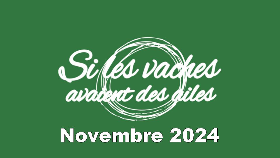 En novembre 2024 à l&rsquo;Espace Matthieu Côte