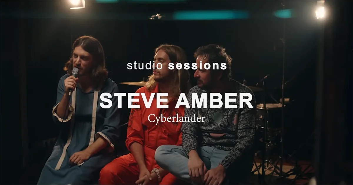 Steve Amber : Cyberlander