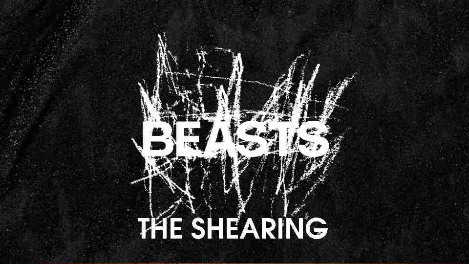 Clip : Beasts – The Shearing